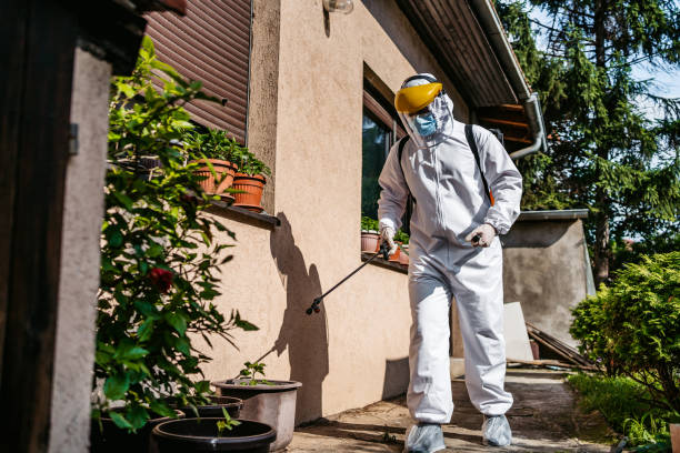 Best Pest Prevention Services  in Mill Bay, AK